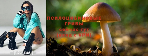 соль курить ск Белокуриха