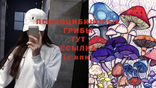 соль курить ск Белокуриха