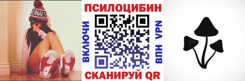 сколько стоит Новоалександровск shop клад Галлюциногенные грибы GOLDEN TEACHER